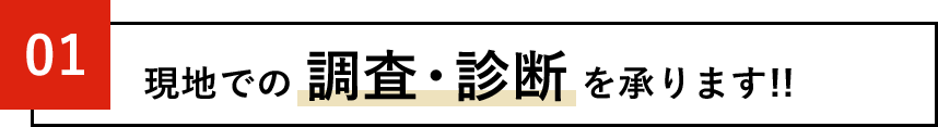 01現地での調査・診断を承ります！！